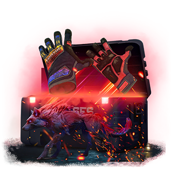 10% Gloves case