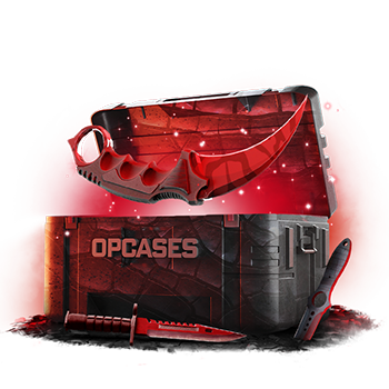 10% Knife case