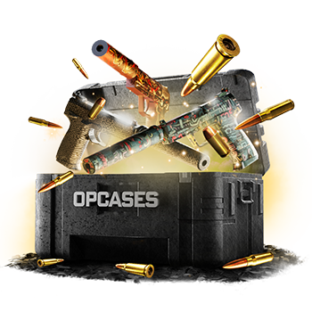 10% Profit USP-S case