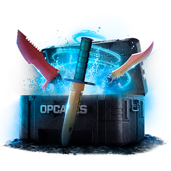 30% Knife case