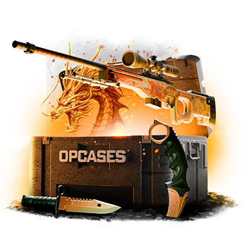 5% Lore case