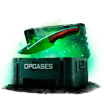 5% Budget Gem case