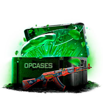 5% Victory case