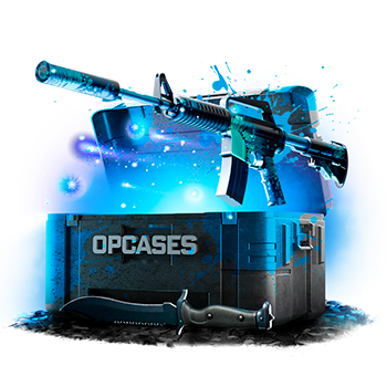 Blue case