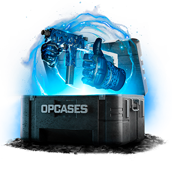 Budget case