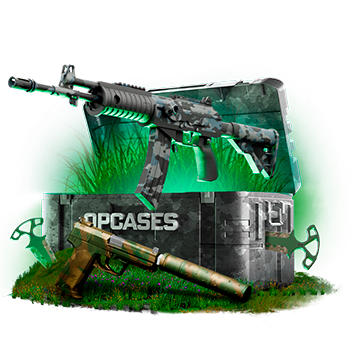 Forestry case