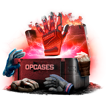 Gimme Five case