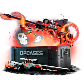 Headshot case