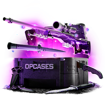 Plum case