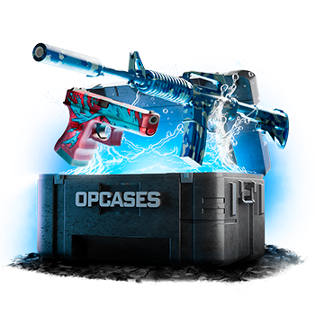 Splash case