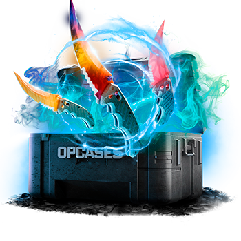 What The Flip? case