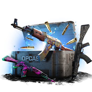 AK-47 Enjoyer case