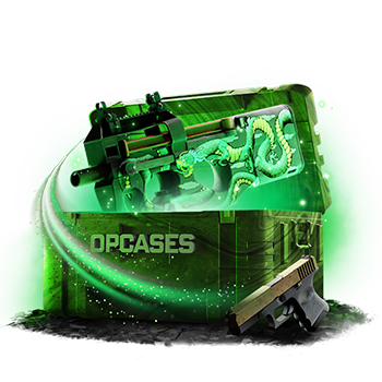 Anchor case