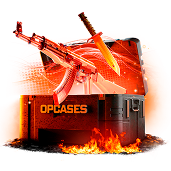 Barrel case