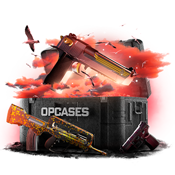 Bauss case