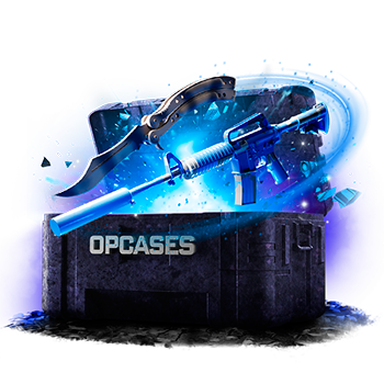 Blitz case