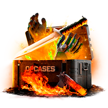 Burn case