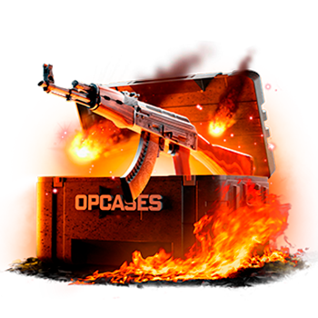 Cartel case