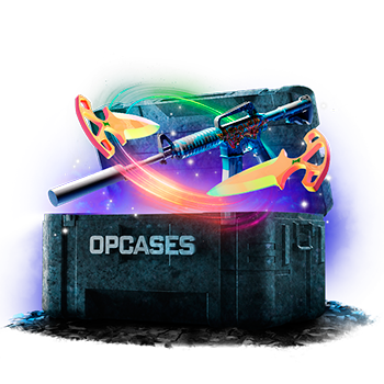 Check case