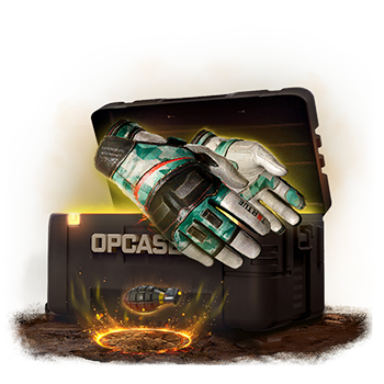 Elite case