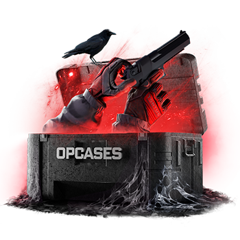 Fiver case