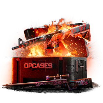 Flaming Hot case