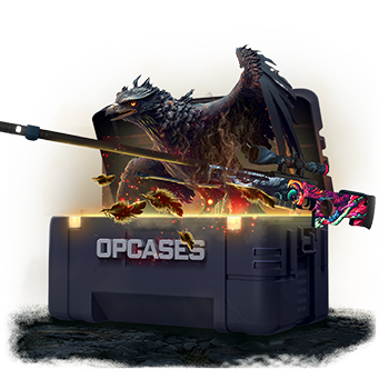 Freedom case