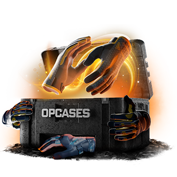 Gloves Lover case