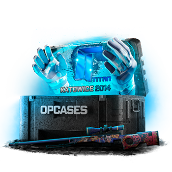 Goodies case