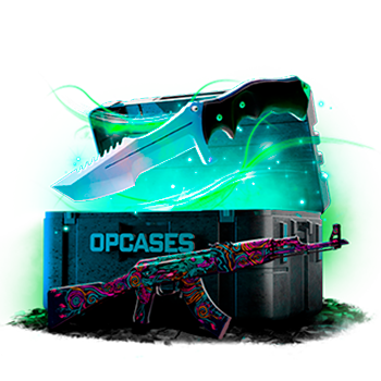 Hammer case