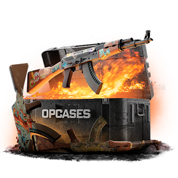 Insane AK-47 case