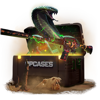 Jungle Festival case