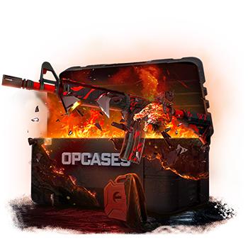 Lucky Howl case