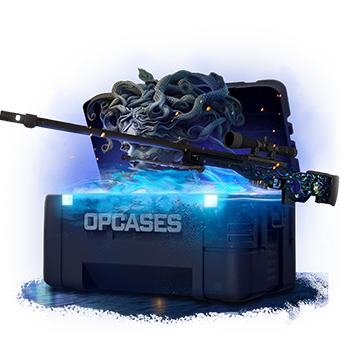 Marksman case