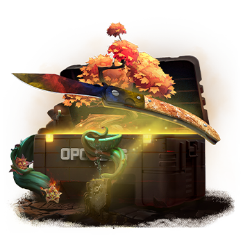 Navaja Spam case