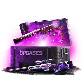 Pink Loadout case