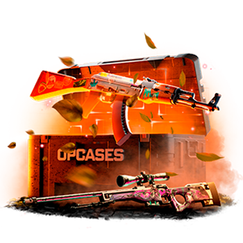 Protocol case