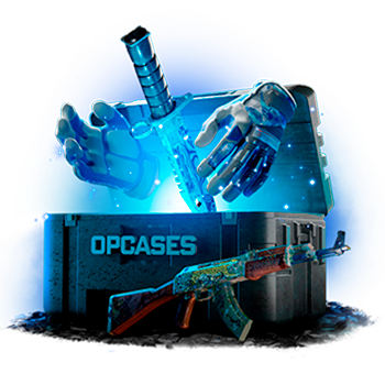 Punch case