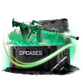 Quadra case