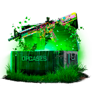 Rage case
