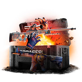 Riot case