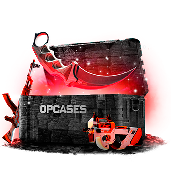 Risky Pulse case