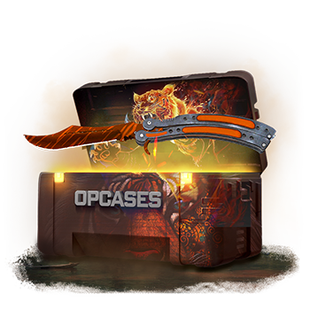 Tiger Attack case