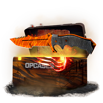 Tiger case
