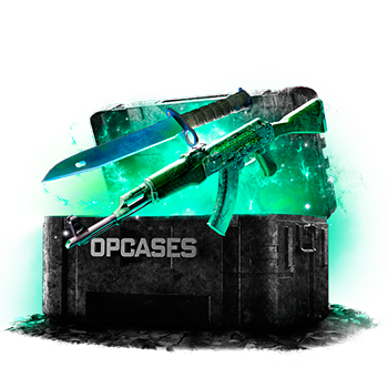 Treasure Hunter case